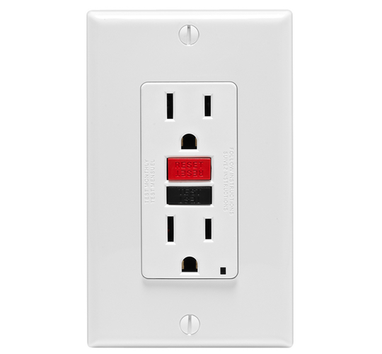 Explore Our Products